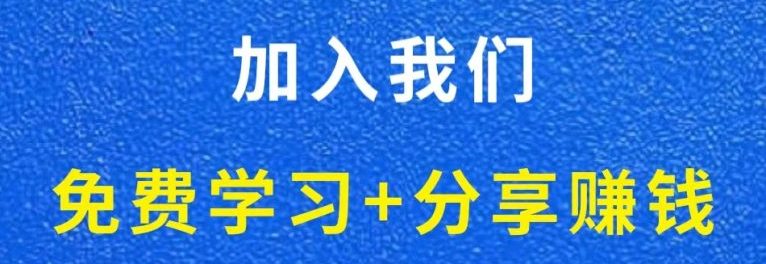白菜价解锁20000+N个赚钱机会，加入轻创终点站会员，全站资源免费学习。-鸿盛达人